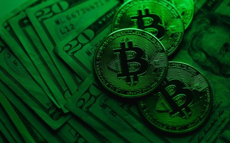 Bitfinex Issues Caution Amid Altcoin Rallies, Flags ‘Concerning’ Market Signals